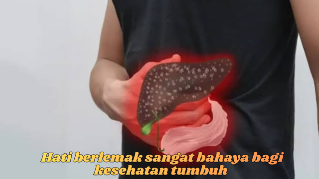 lemak dalam hati